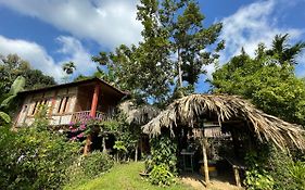 Kaziranga Retreat Homestay